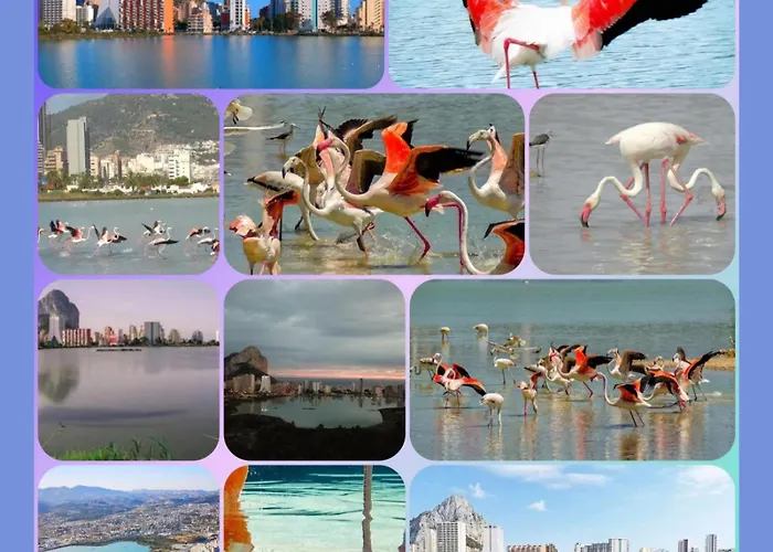 100 M De Playa Apartment *