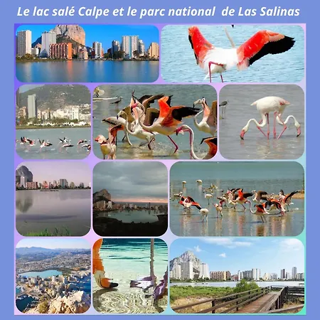 100 M De Playa Apartmán *